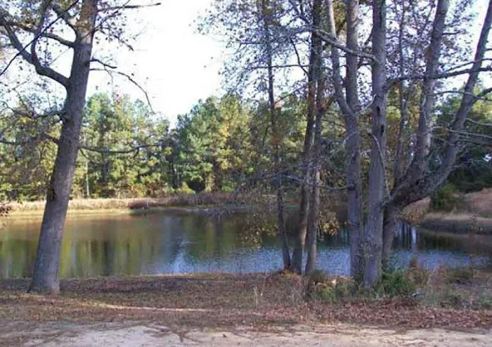 Plantation Acres Picture 2