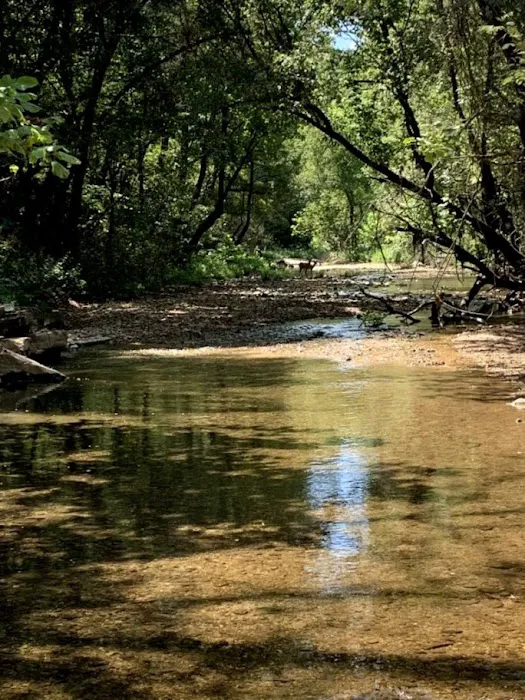 Rush Campground Picture 3