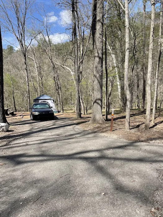 Blanchard Springs Campground Picture 8