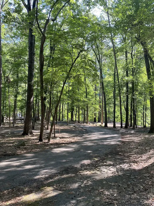 Blanchard Springs Campground Picture 2