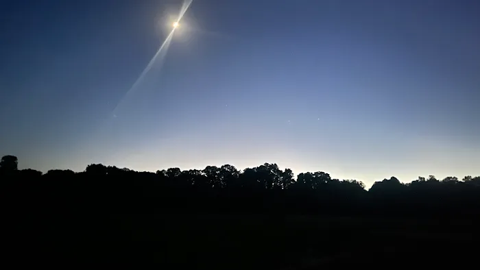 Into the Woods RV Park & Campground Picture 4