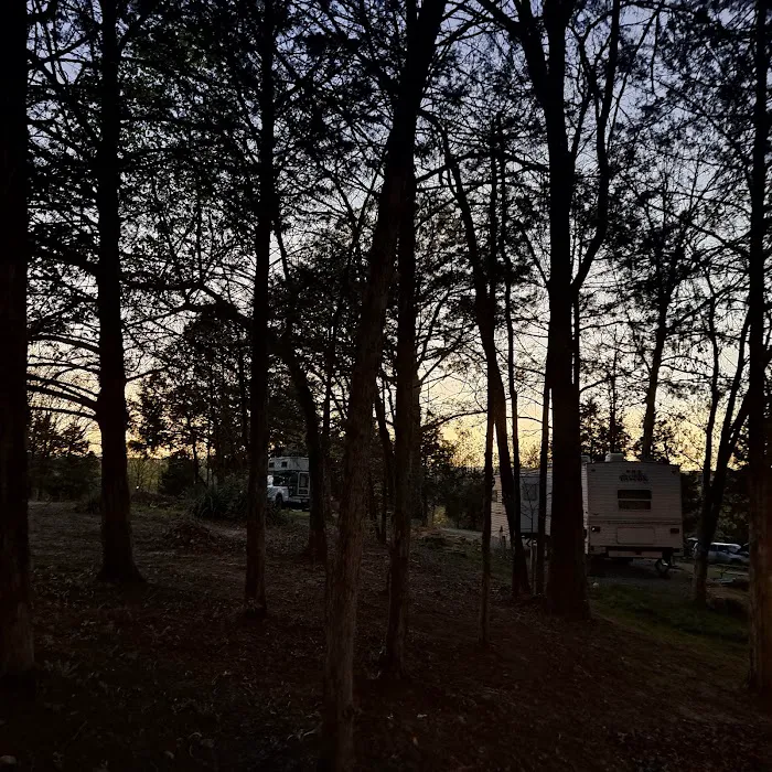 Into the Woods RV Park & Campground Picture 3