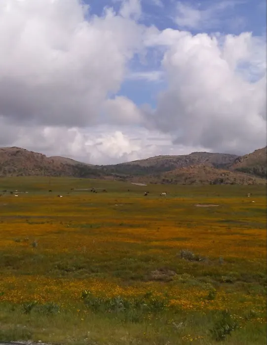 Slick Hills RV Park Picture 4