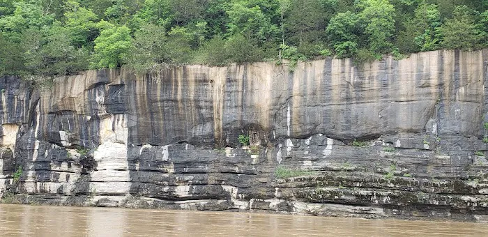 Buffalo Point Campground, Loop B Picture 1