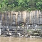 Buffalo Point Campground, Loop B