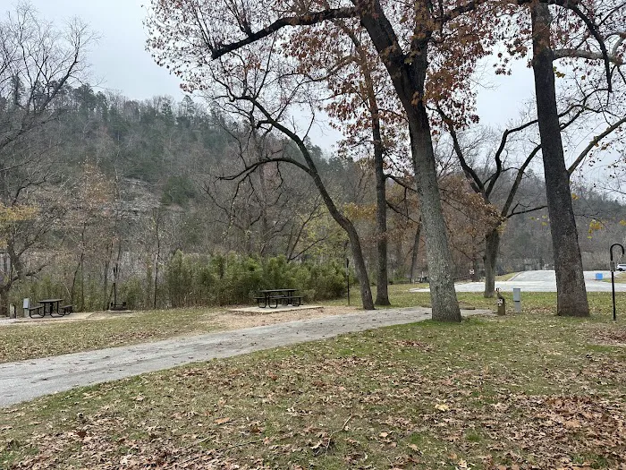 Buffalo Point Campground Picture 10