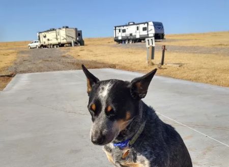 Canyon Brook RV Park