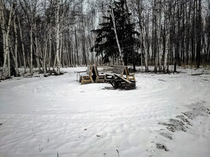 Dwight's Point Watercraft Campsite Picture 4