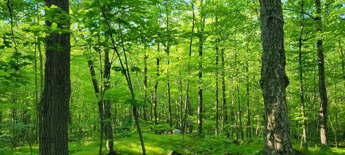 Spirit Mountain Campground Picture 9