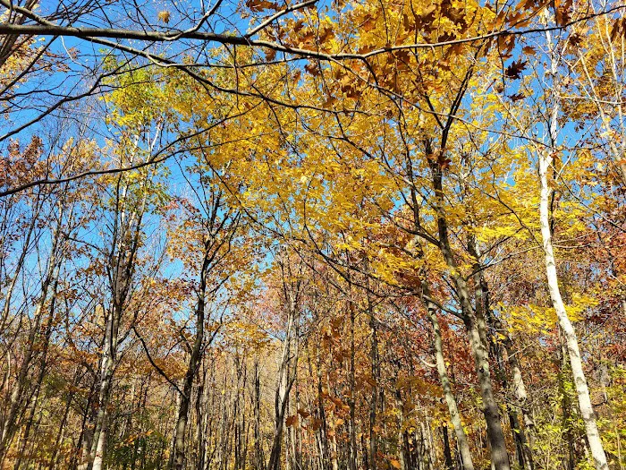 Spirit Mountain Campground Picture 5