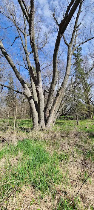 Green Valley State Park Campground Picture 10
