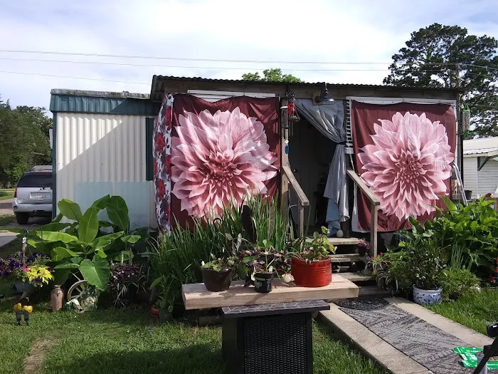 Lisa's RV Park Picture 3