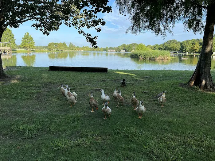 Poche's Rv Park & Fish-N-Camp Picture 4