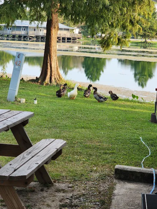 Poche's Rv Park & Fish-N-Camp Picture 7