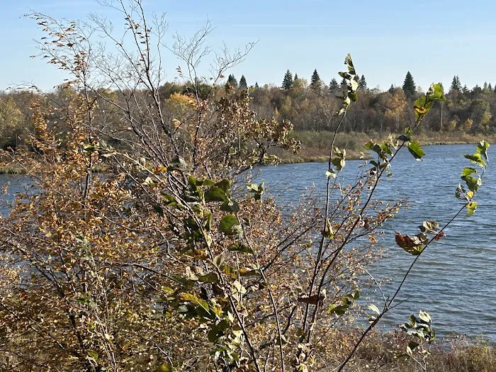 Bertram Chain of Lakes Campground Picture 4