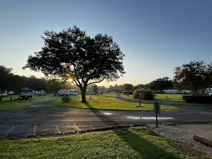 Bayou Wilderness RV Campground Picture 7