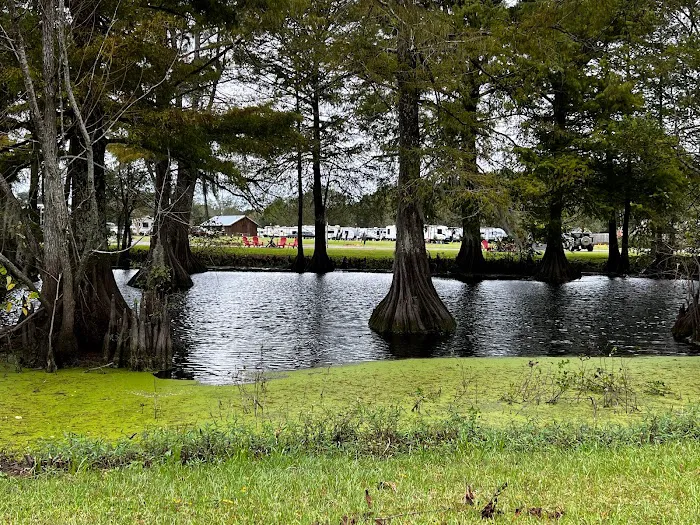 Bayou Wilderness RV Campground Picture 2