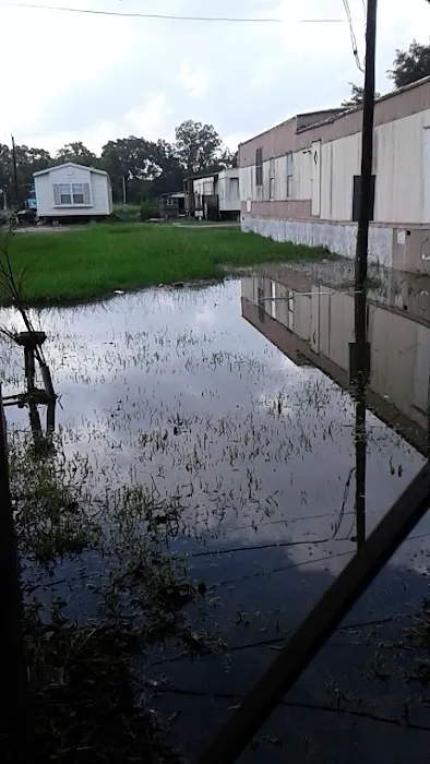 Shady Oaks Estates Mobile Home & RV Park Picture 4