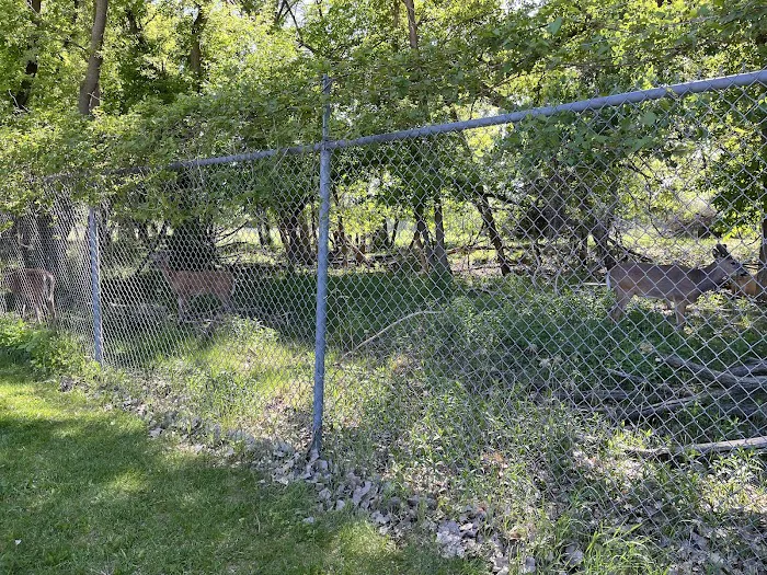 Masonic West River Campground Picture 10