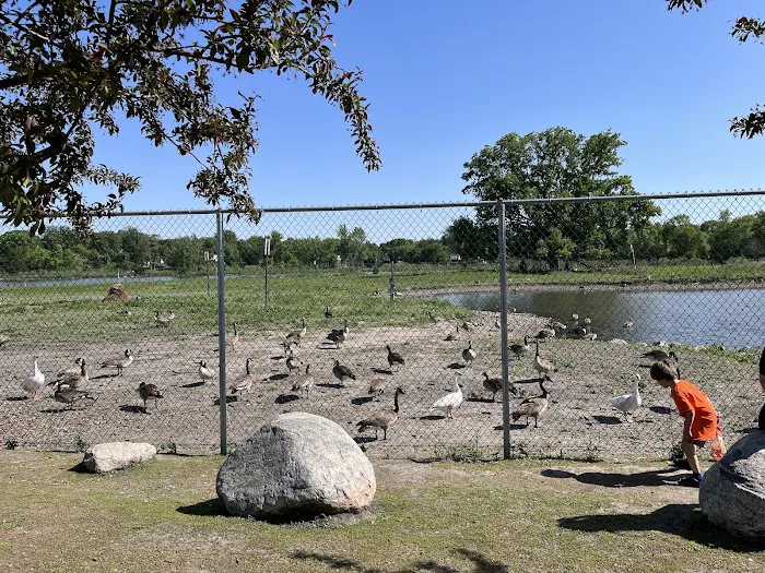 Masonic West River Campground Picture 6