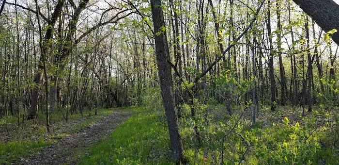 Piepenburg Campground Picture 8