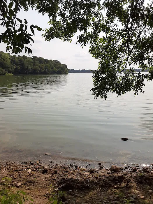 Lake Marion Campground Picture 2