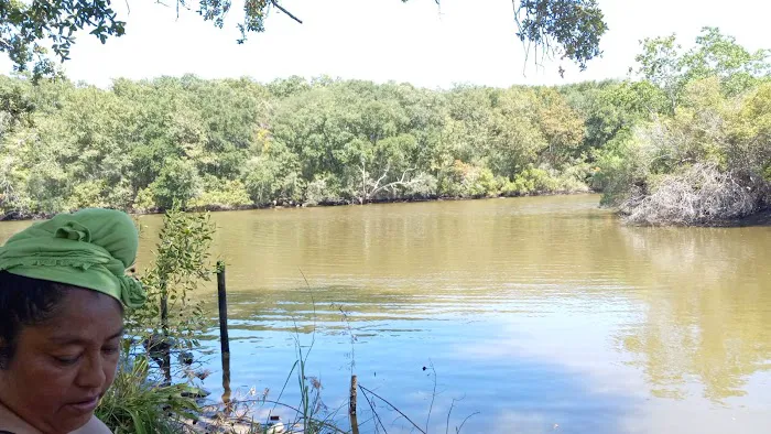 Mary's R.V. Park Picture 2