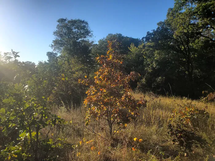 Ann Lake Campground Picture 7