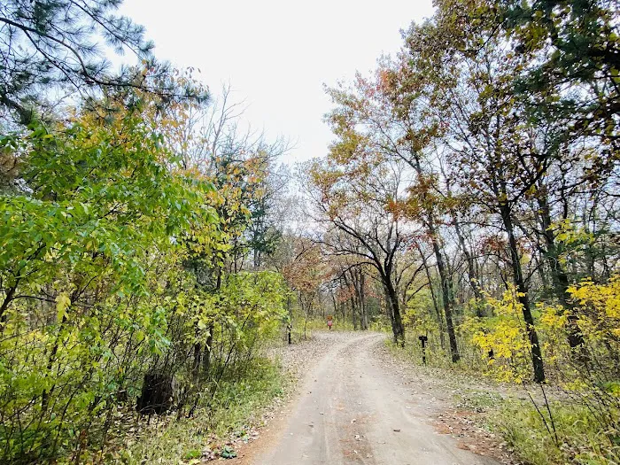Ann Lake Campground Picture 3