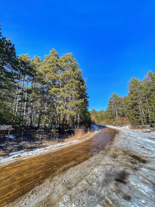 Ann Lake Campground Picture 10