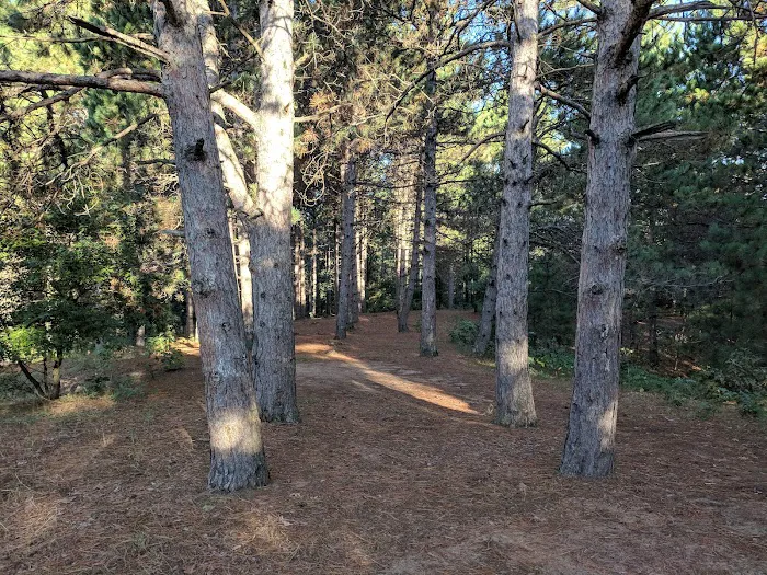 Ann Lake Campground Picture 5