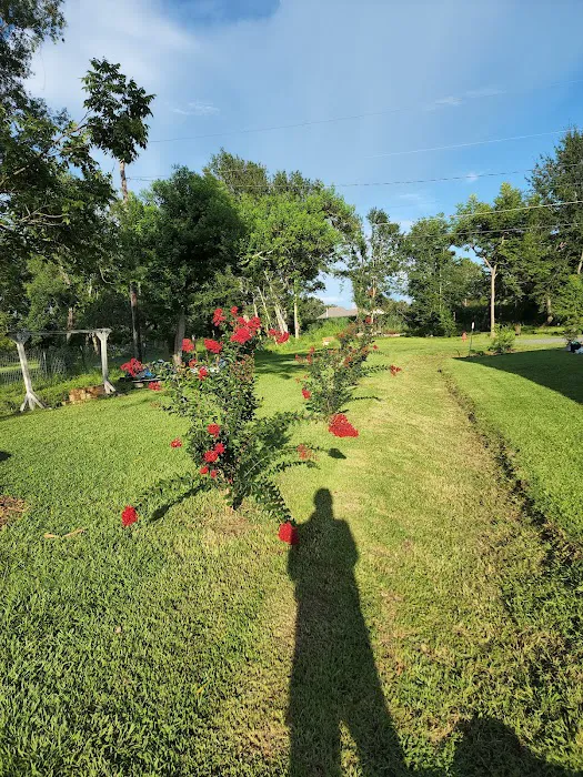 Bella Terre Picture 5