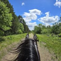 Bob Dun Horse Campground ico