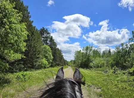 Bob Dun Horse Campground