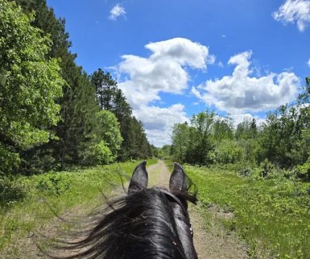 Bob Dun Horse Campground
