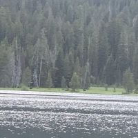 Bear Bottoms Watercraft Campsite ico