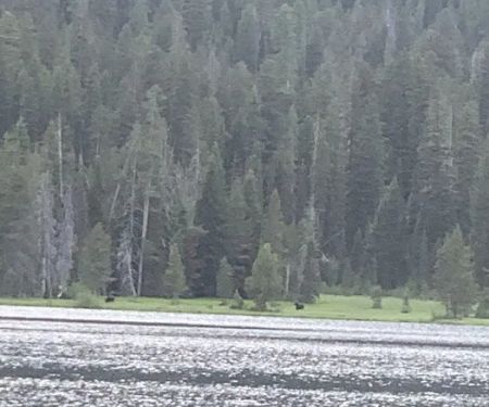 Bear Bottoms Watercraft Campsite