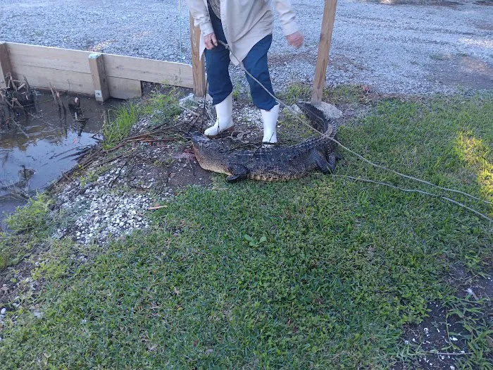 South Houma RV Park Picture 5