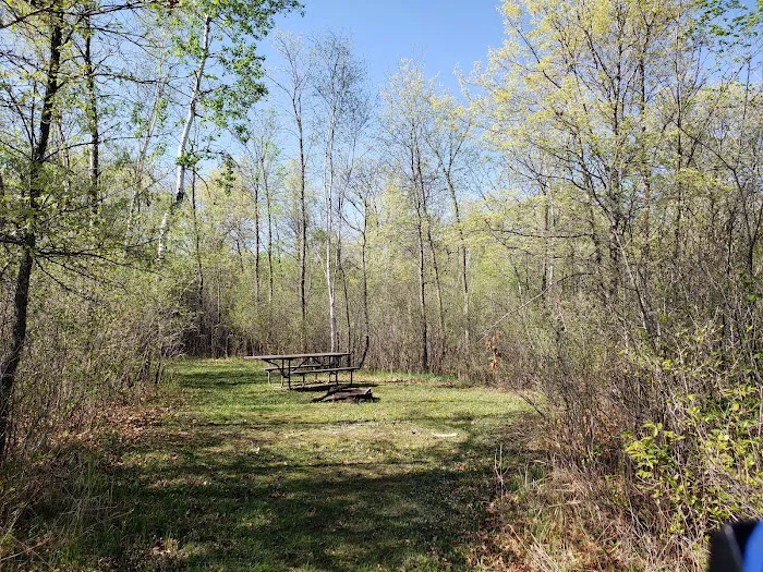 Sunrise Landing Campground Picture 9