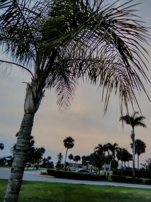 Riviera Colony Picture 9