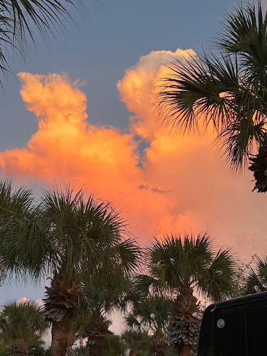 Neapolitan Cove RV Resort Picture 5