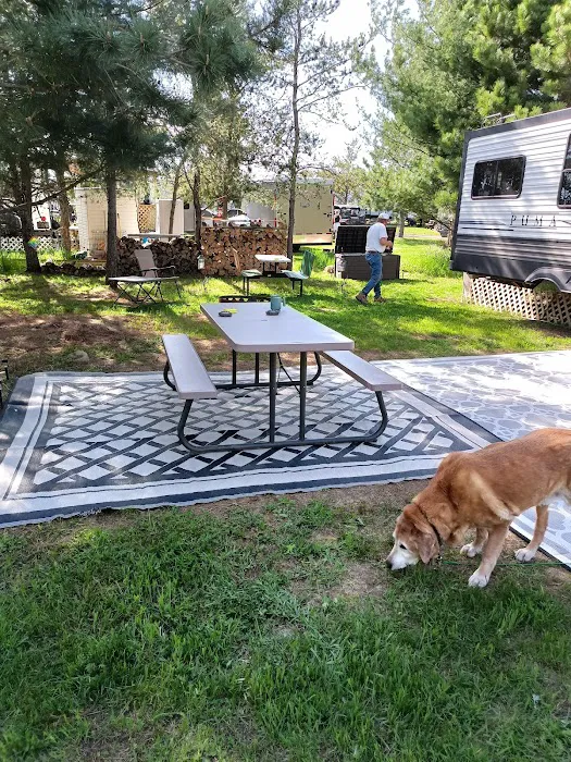Pardun's Jack Pine Campground Picture 1