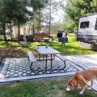 Pardun's Jack Pine Campground ico