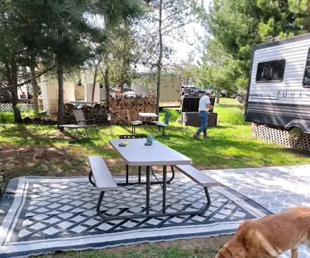 Pardun's Jack Pine Campground