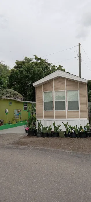 Palm Lake Mobile Home Park Picture 4