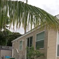 Palm Lake Mobile Home Park ico