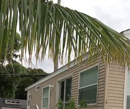 Palm Lake Mobile Home Park