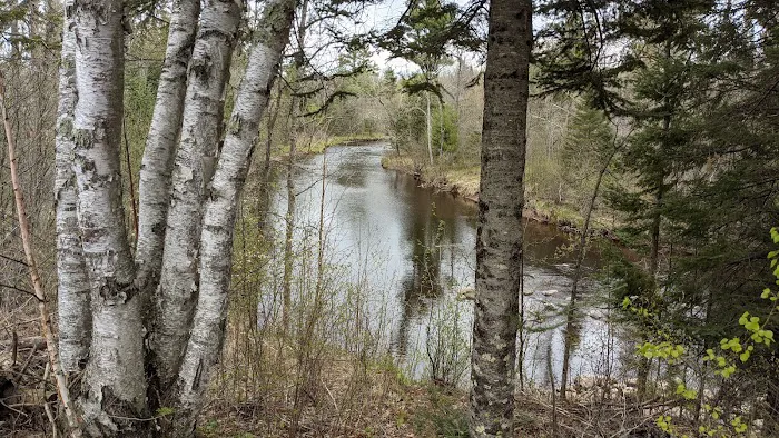 Tamarack Horse Campground Picture 2