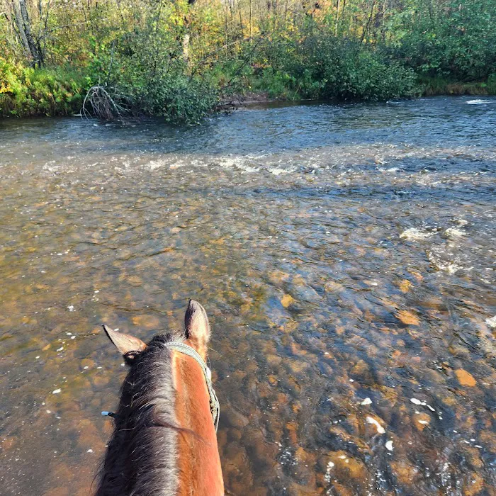 Tamarack Horse Campground Picture 6