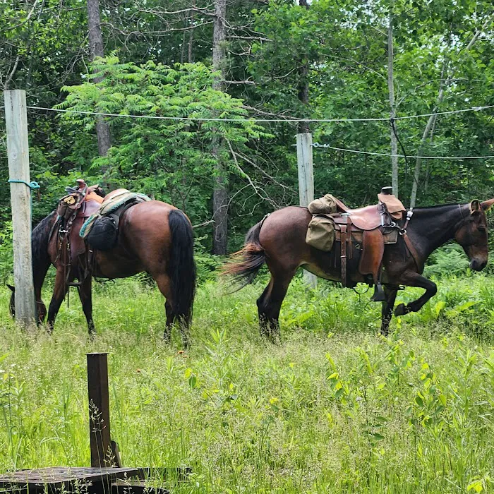 Tamarack Horse Campground Picture 7